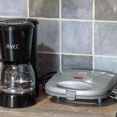 Blue Orchid - Modern