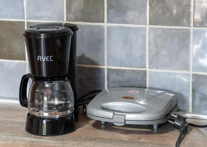 Blue Orchid - Modern