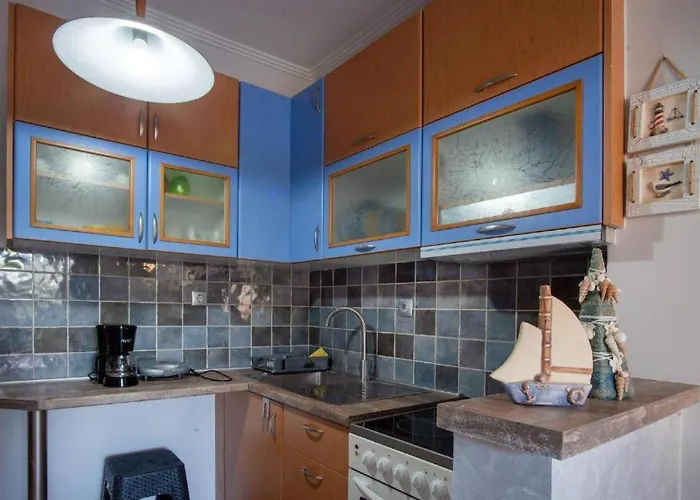 Blue Orchid - Modern