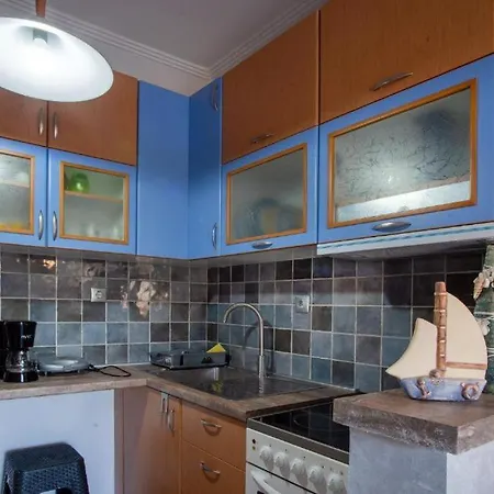 Blue Orchid - Modern